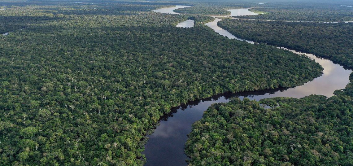 El Amazonas