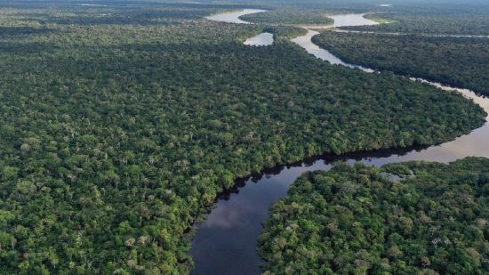 El Amazonas