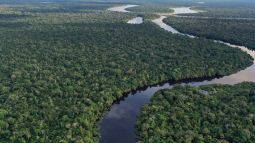 El Amazonas