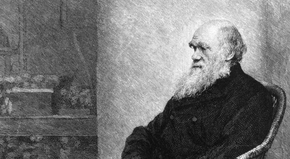 Darwin