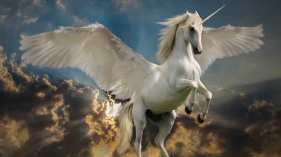 3 unicornios del mundo real que te sorprenderán