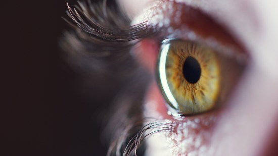 Ojo humano