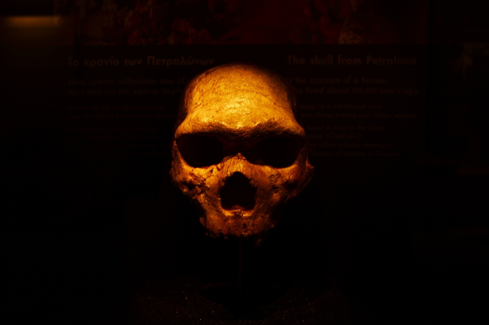 verdadero-motivo-extincion-neandertales
