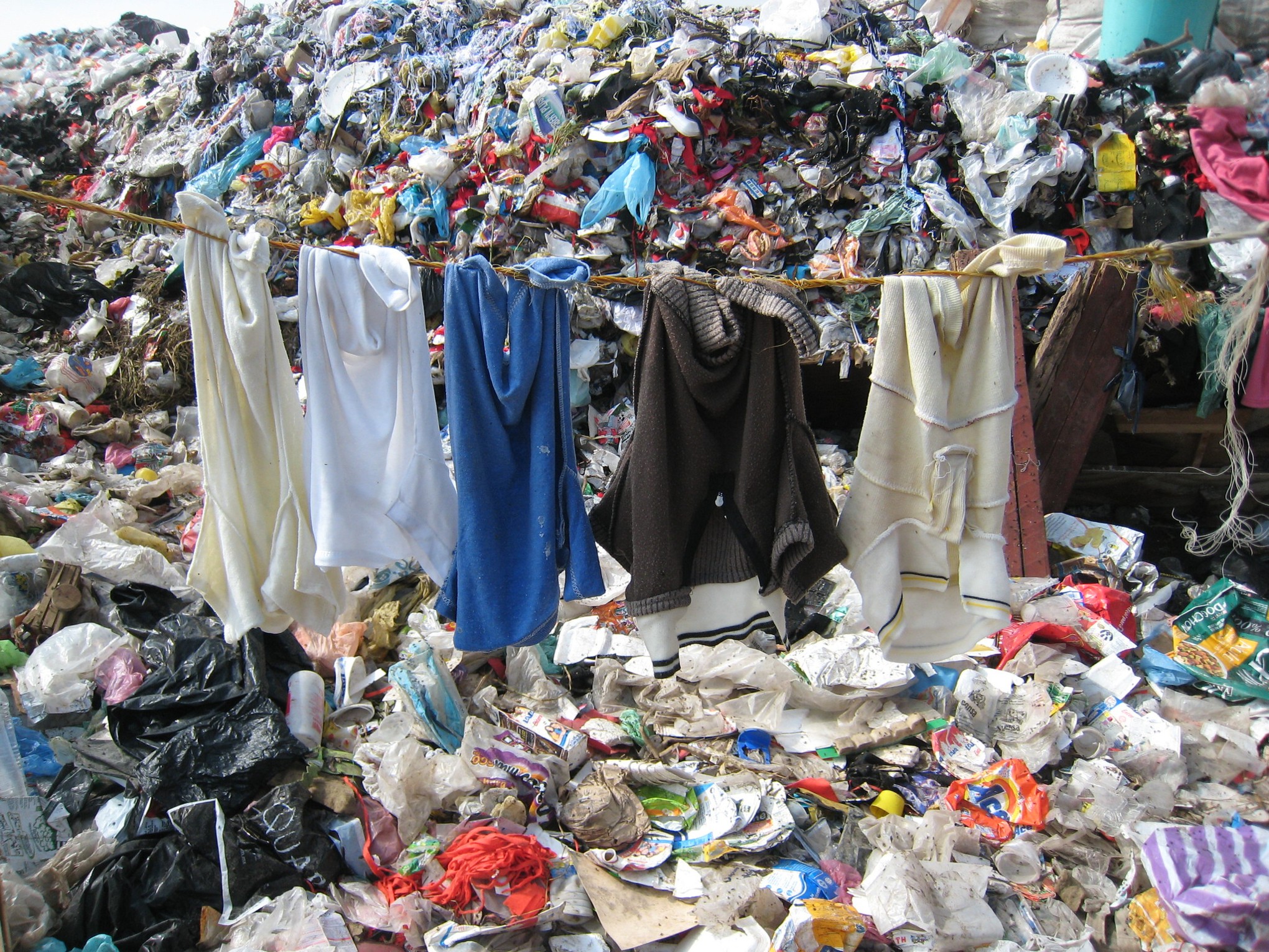 moda-rapida