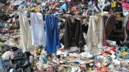 moda-rapida