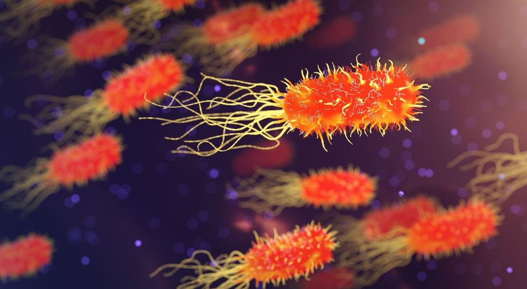 Infecciones bacterianas, estas son las bacterias más peligrosas.