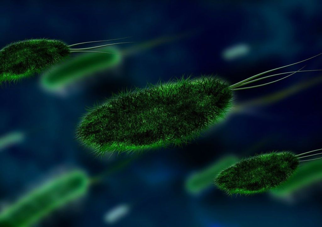 Infecciones bacterianas, estas son las bacterias más peligrosas