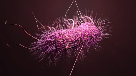 bacterias-peligrosas