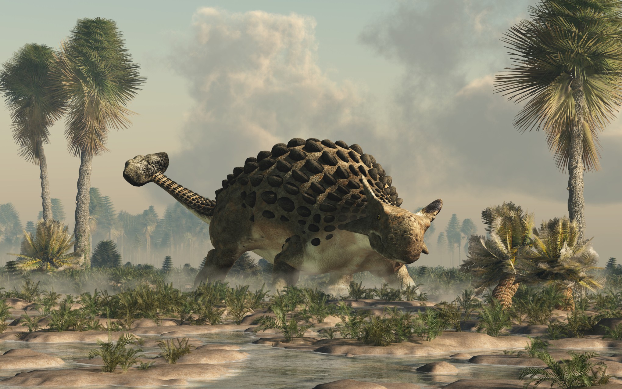 anquilosaurus