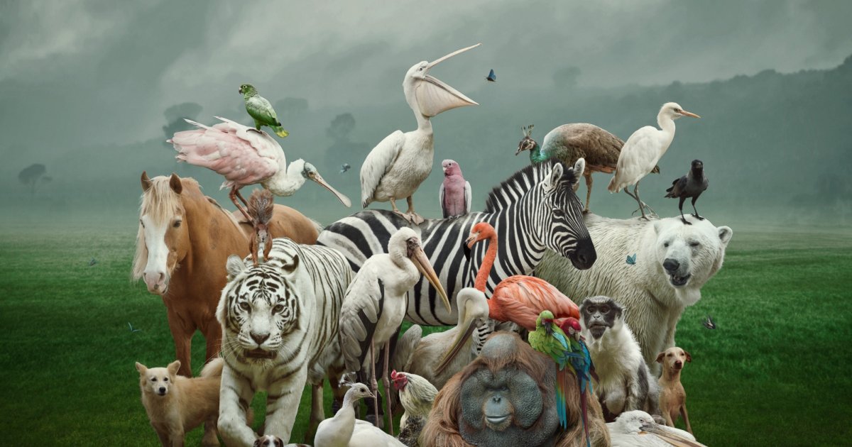 Número de especies en el mundo: ¿Cuántas existen realmente?