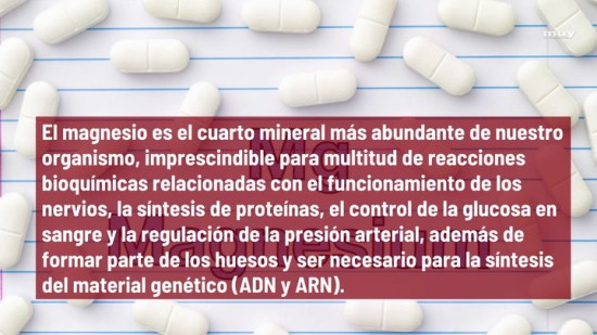 ¿Cuál es el alimento que contiene más magnesio?