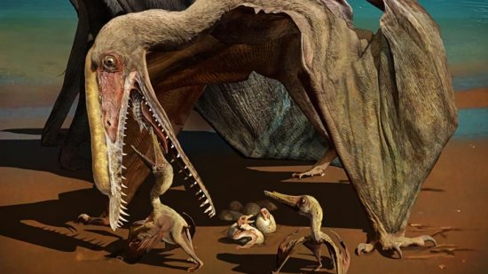 Los pterosaurios podían volar en cuanto nacían