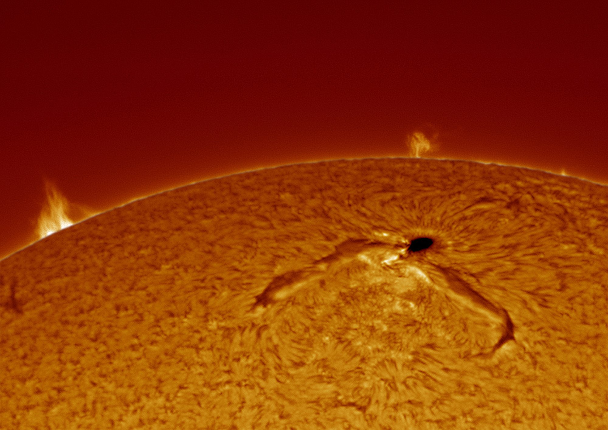Manchas, fulguraciones y estallidos: estamos viviendo el ciclo 25 de actividad solar