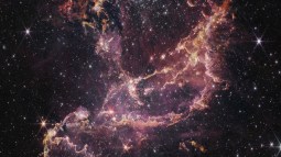 webb origenes universo
