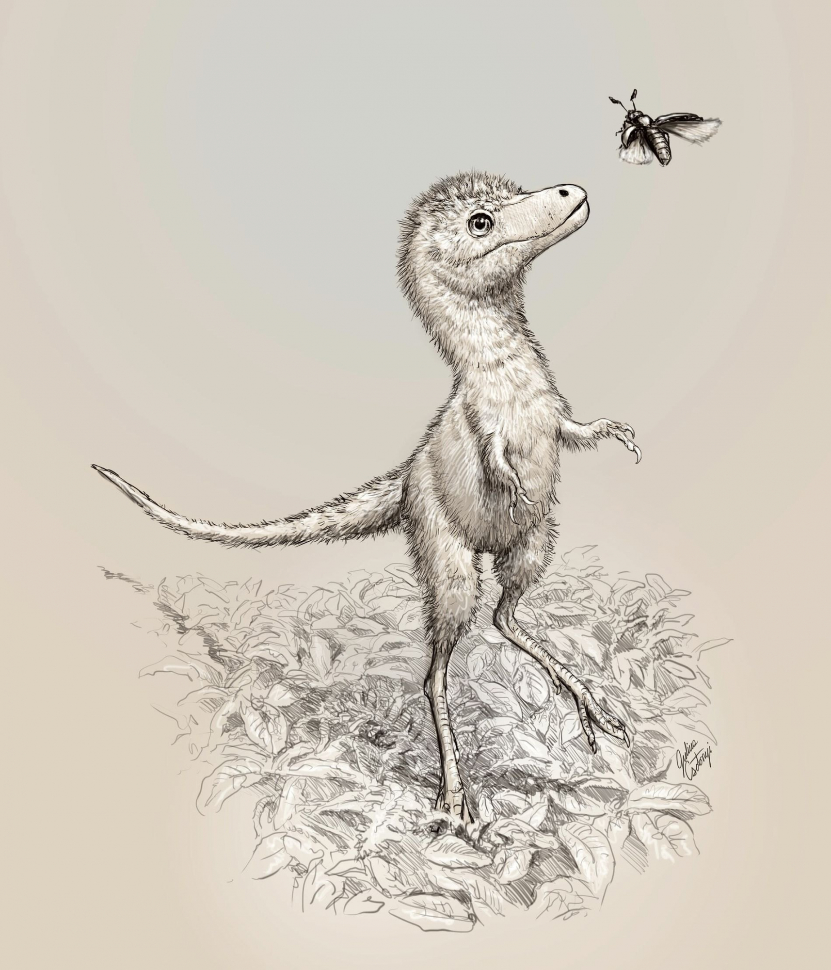 ¿Cómo eran las crías de Tyrannosaurus rex?