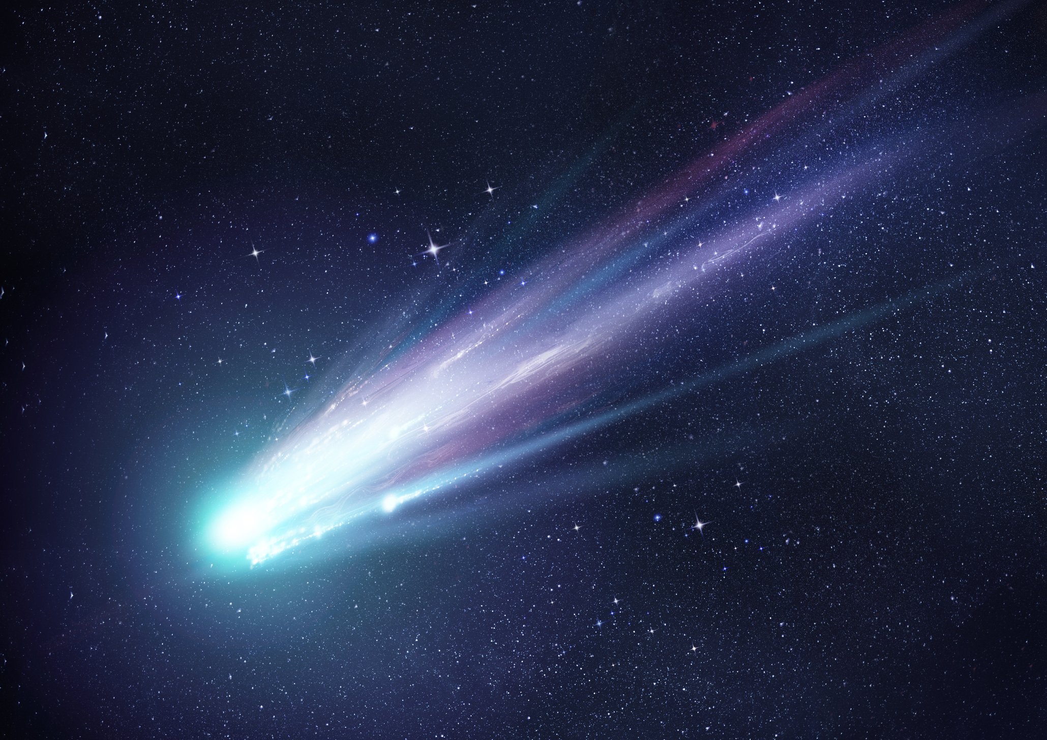 El hurón de los cometas