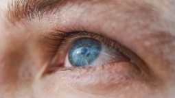 Las retinas de laboratorio podrían ser la cura a las enfermedades oculares degenerativas