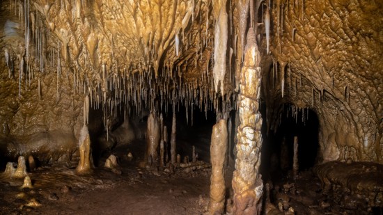 Cueva murciana en la que se han encontrado zarpazos de oso cavernario