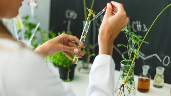Así estudia la NASA las plantas y las bacterias en el espacio