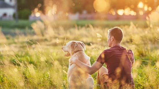 Hombre con su perro