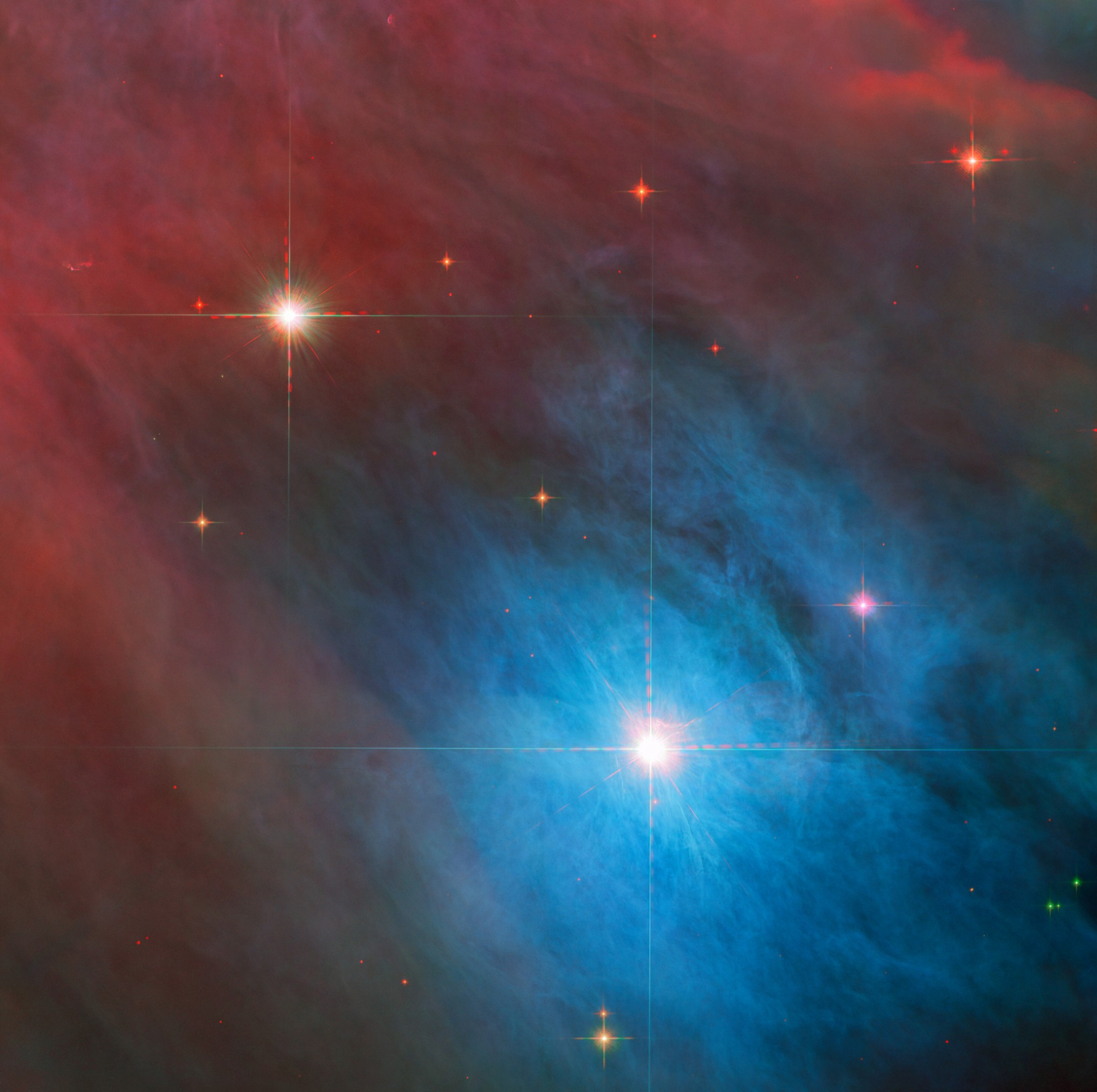 Estrellas jóvenes