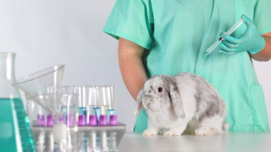 ¿Es lícito utilizar animales en la investigación científica?