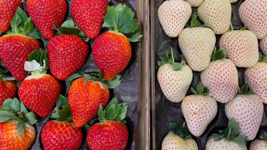 Fresas blancas