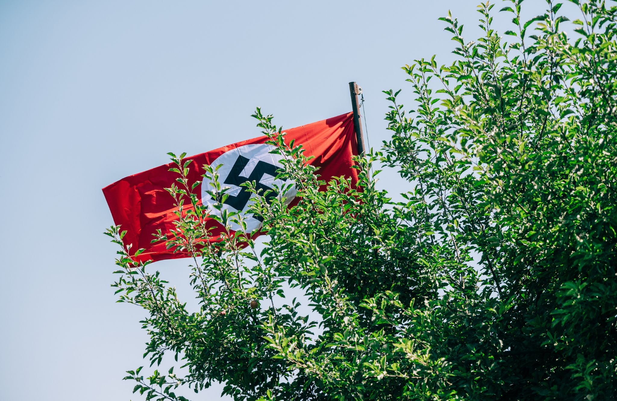 ¿Por qué la esvástica es el símbolo nazi?