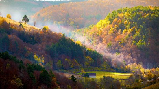Conoce la Selva de Irati, paraíso natural de Navarra