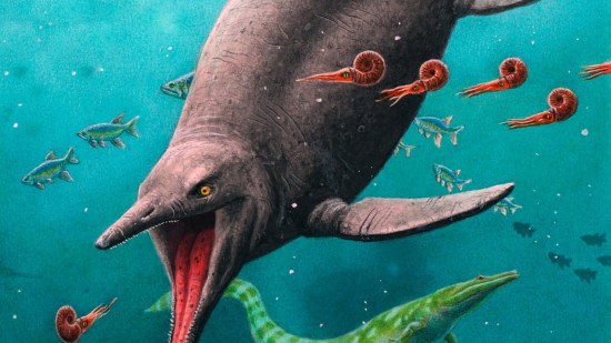 Ictiosaurio