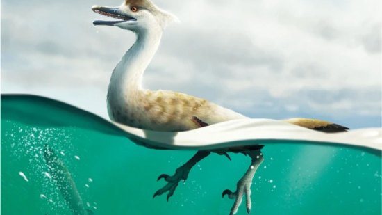 Este dinosaurio tenía cuerpo de pato