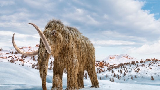 Mamut en el hielo