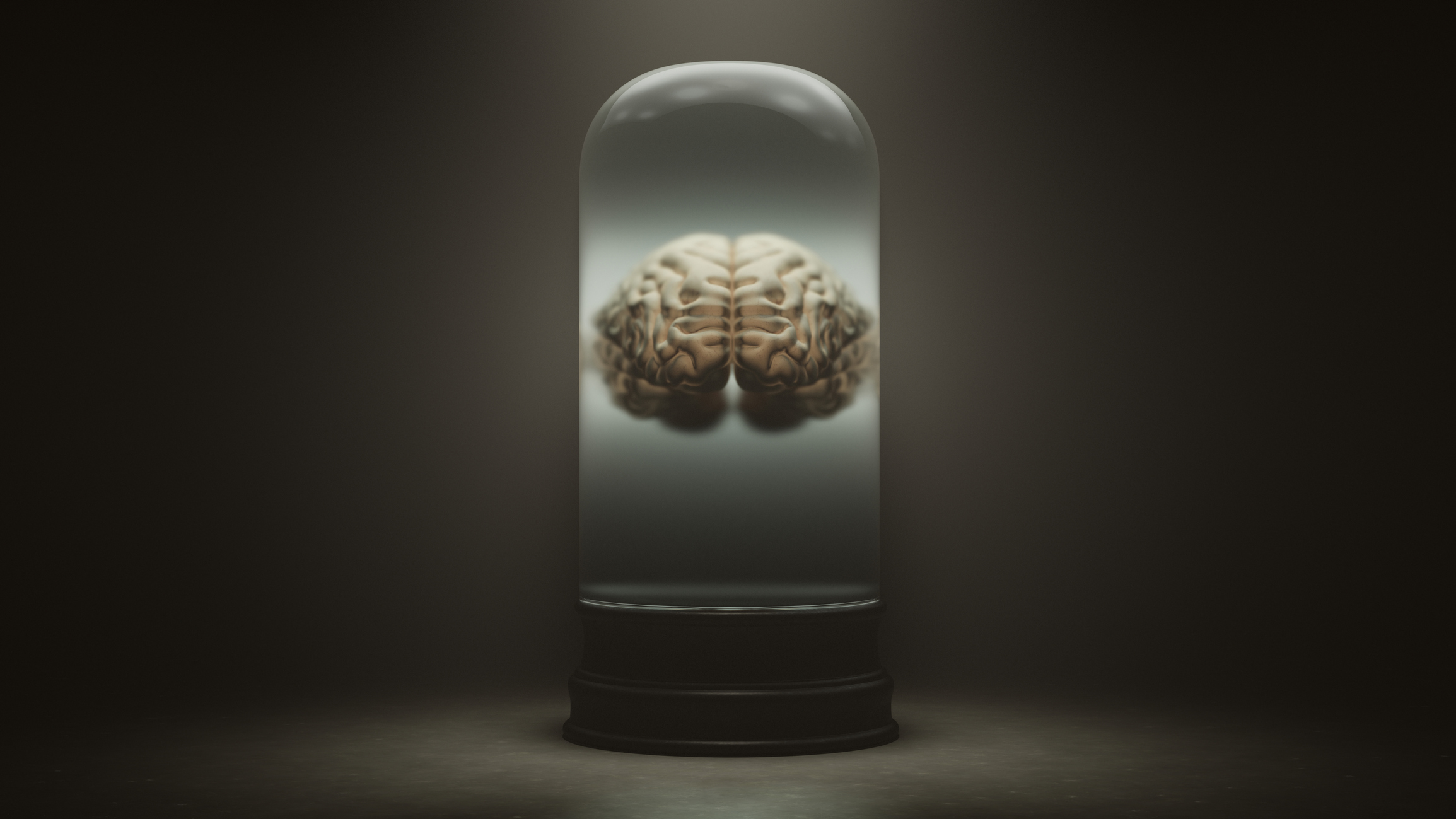 cerebro Einstein