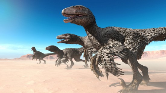 Dinosaurio con plumas