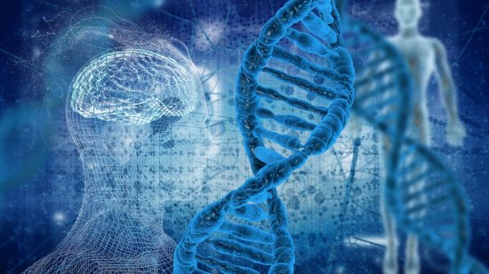 El ser humano sigue evolucionando, pero de manera diferente a lo que algunos cuentan