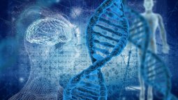El ser humano sigue evolucionando, pero de manera diferente a lo que algunos cuentan
