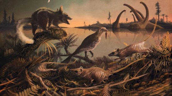 El astuto cazador de dinosaurios: la dieta del tejón prehistórico