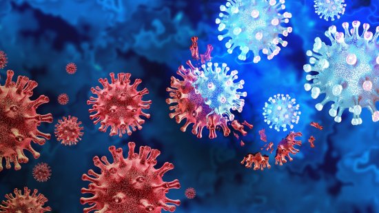 Descubre a los virusoides, los parásitos que infectan a virus