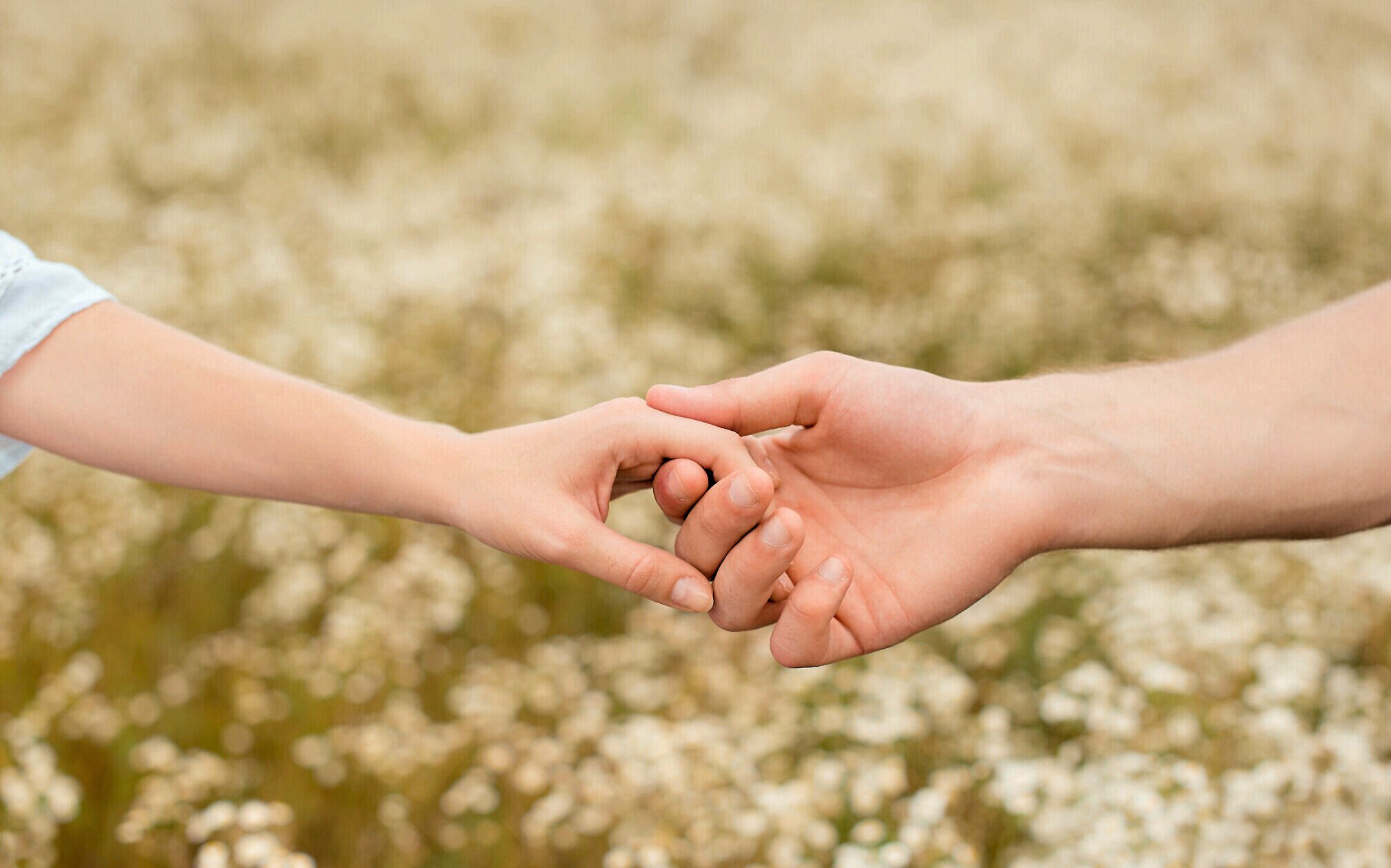 El mejor instrumento del mundo: la mano humana