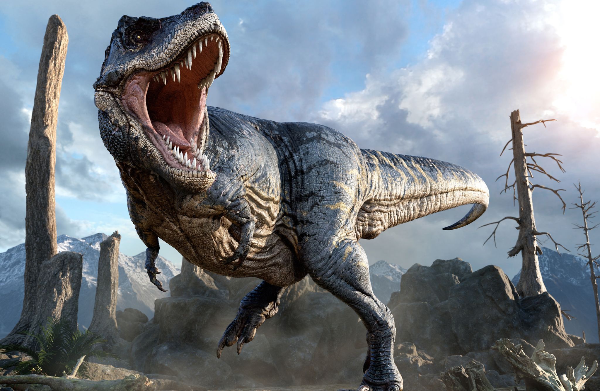 ¿Tienes 5 millones de euros? Podrías comprarte un tiranosaurio rex