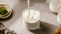 Los misterios de la leche