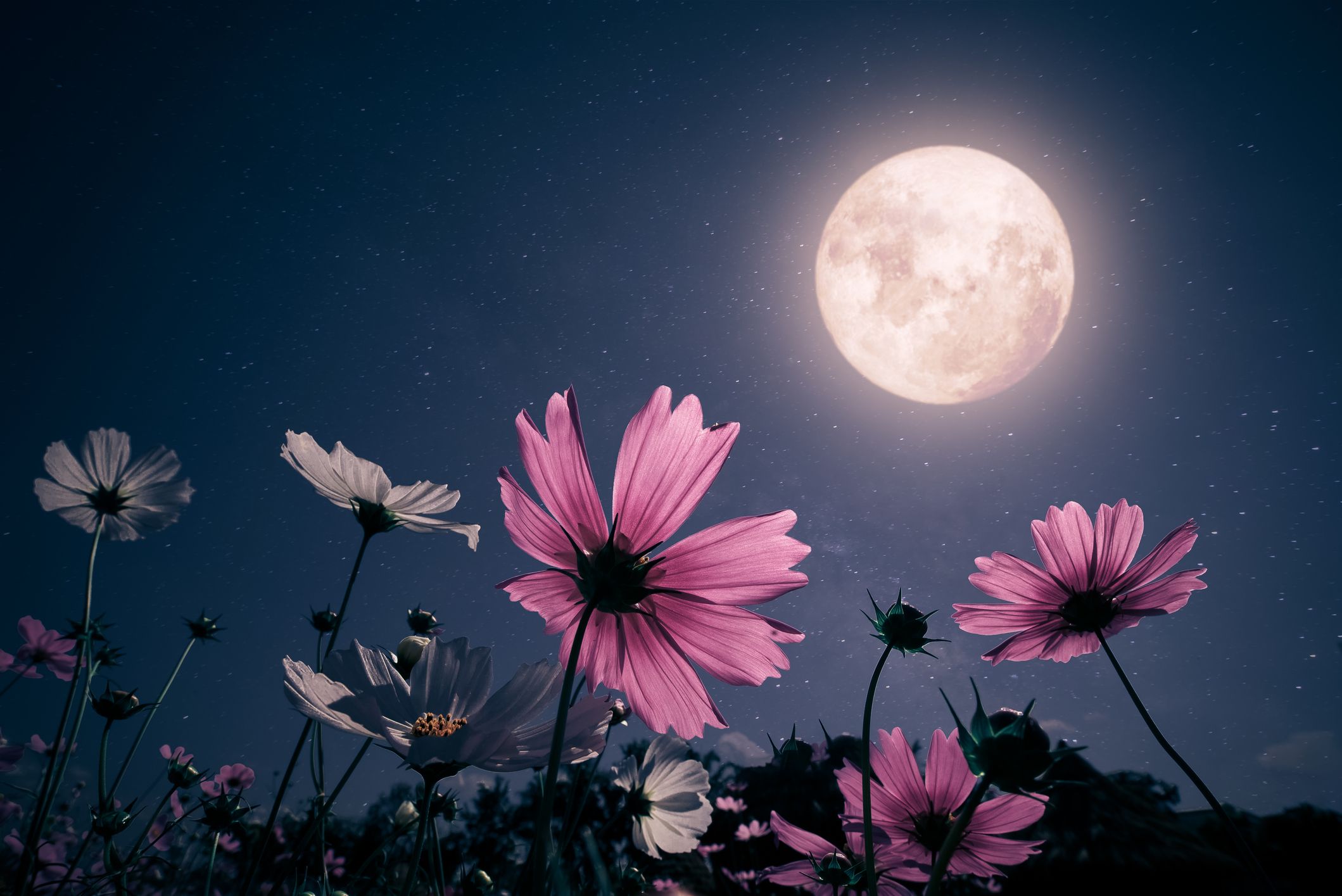 Los científicos han demostrado que la Luna llena no nos influye y nadie les cree