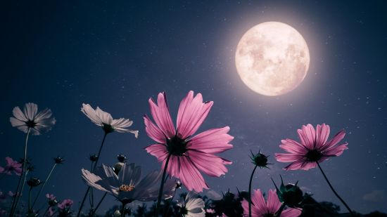 Los científicos han demostrado que la Luna llena no nos influye y nadie les cree
