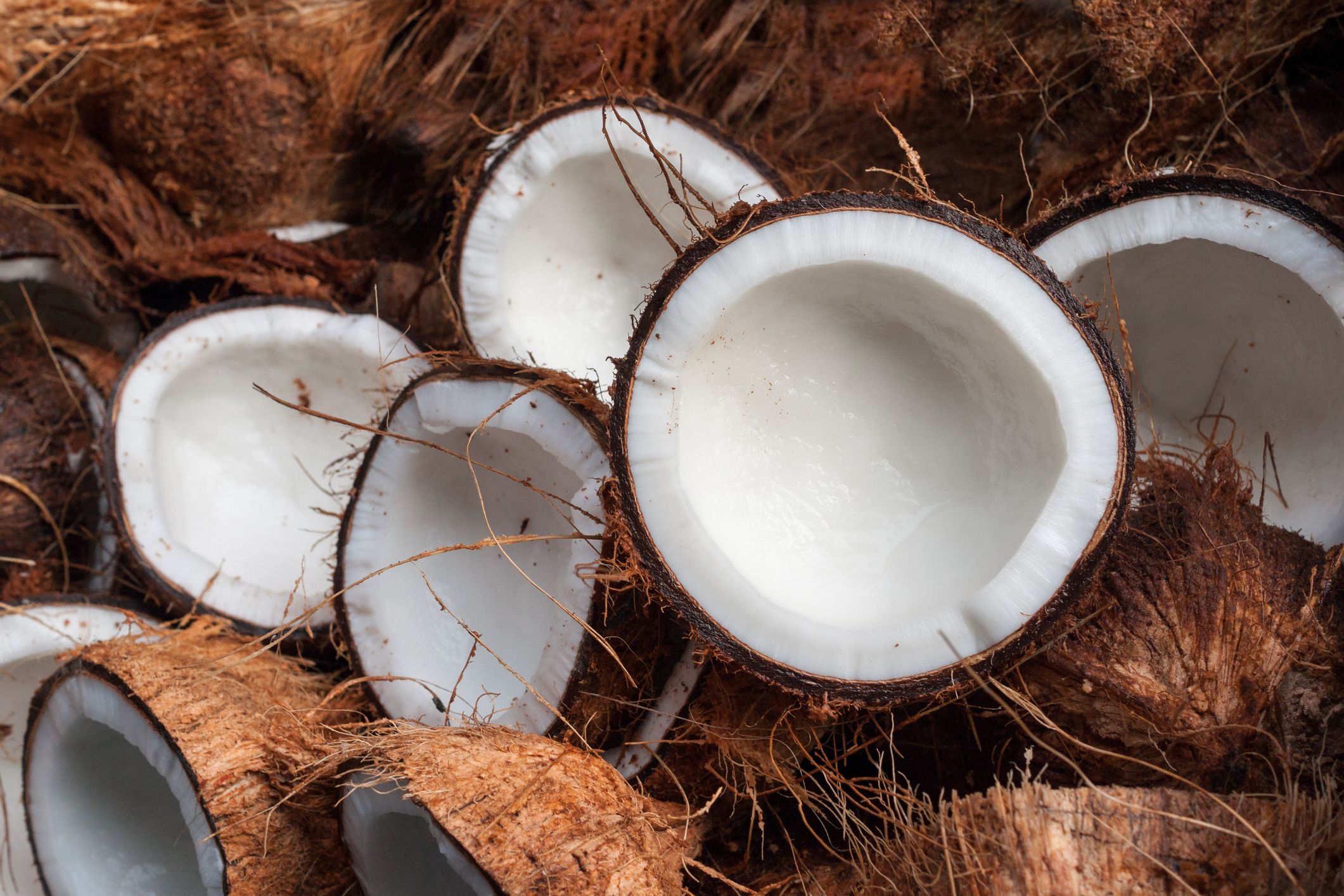 Que viene el coco: el valor del fruto de la palmera