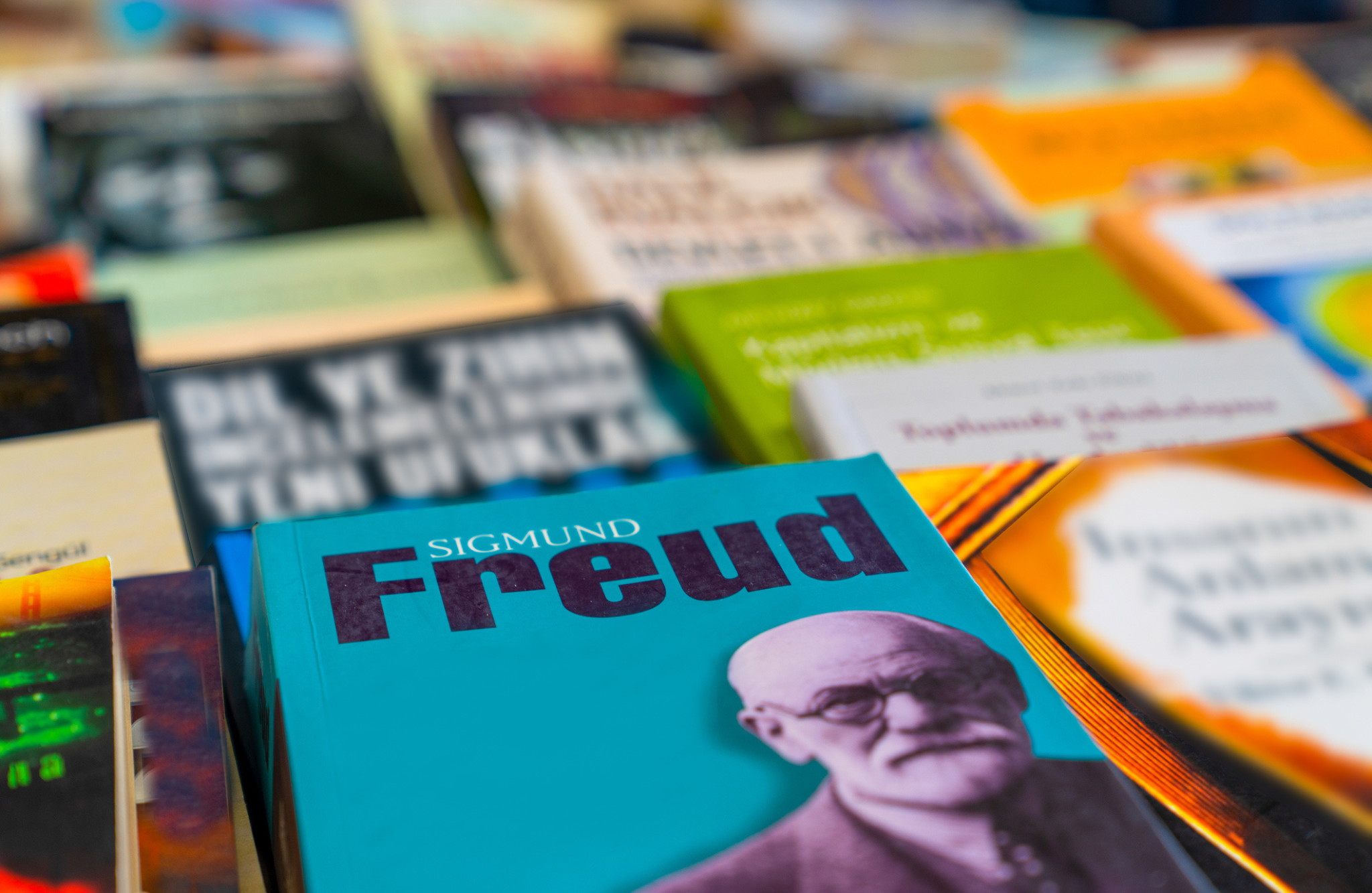Libro Sigmund Freud