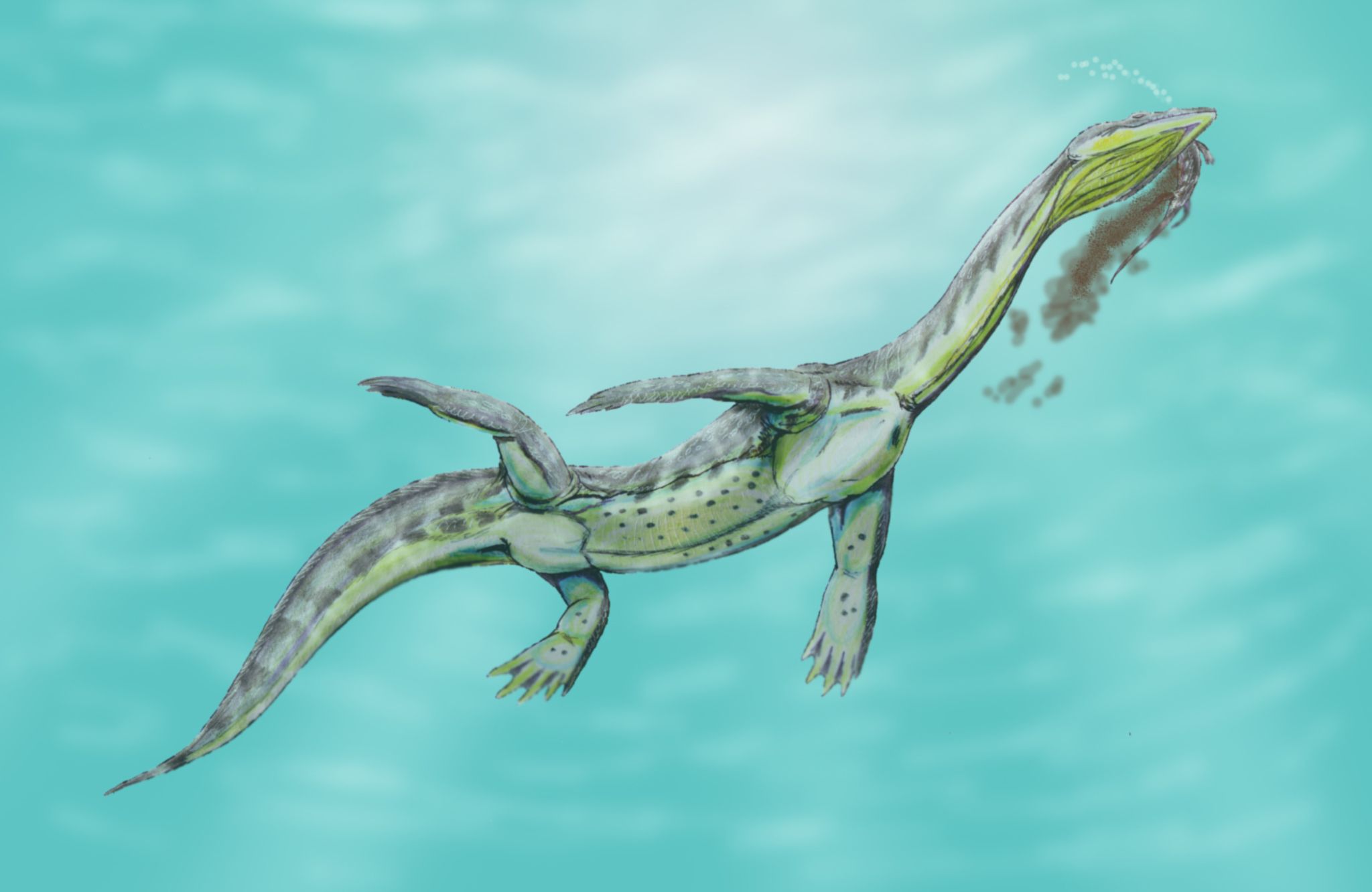 Recreación artística de un reptil marino sauropterigio