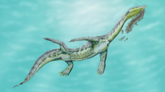 Recreación artística de un reptil marino sauropterigio