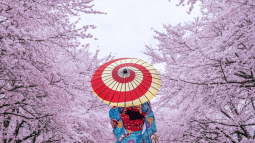 Geisha Japon