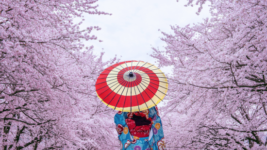 Geisha Japon