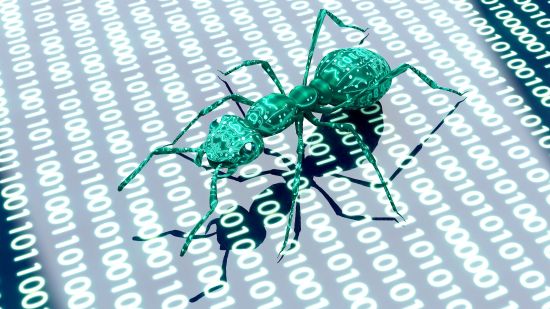 Hormigas y tecnología: cómo el comportamiento de estos insectos puede inspirar avances tecnológicos